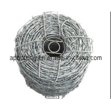 Barbed Wire Mesh (barbed wire)